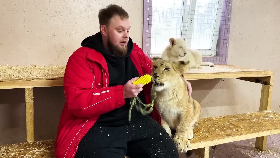 Клин, города