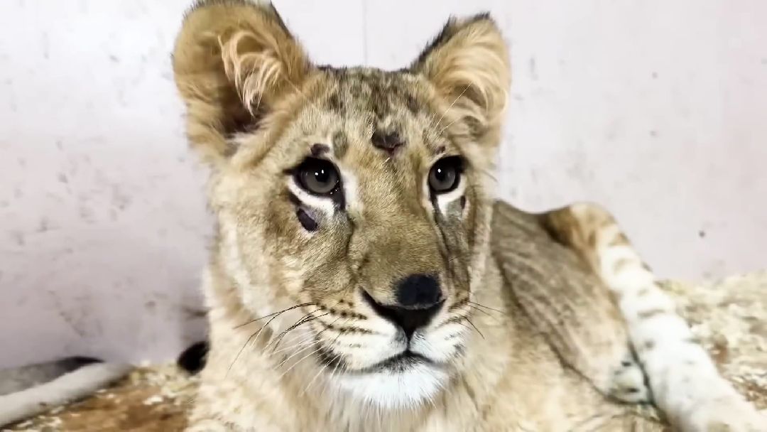 Клин, города