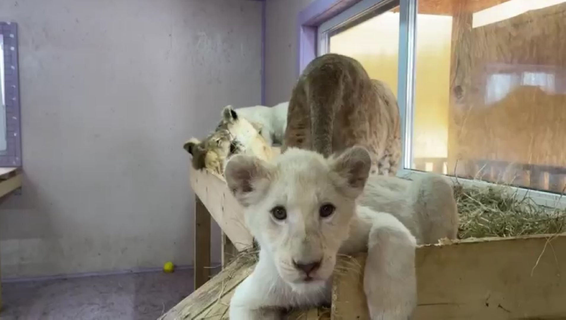 Клин, города