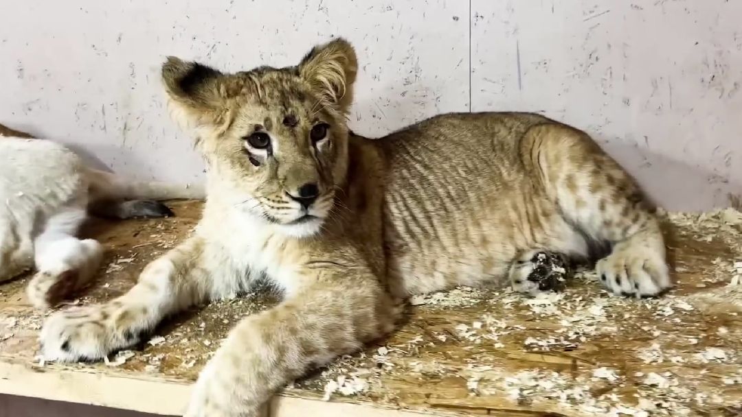 Клин, города