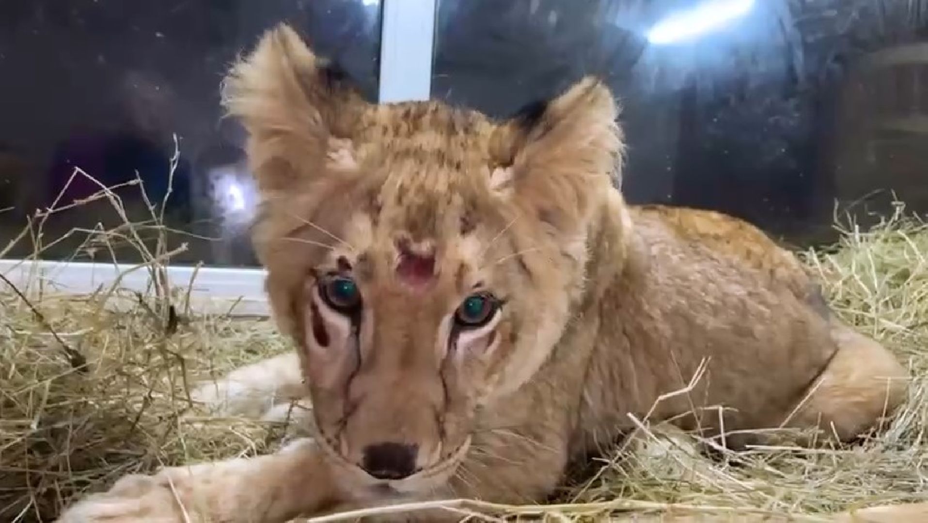 Клин, города