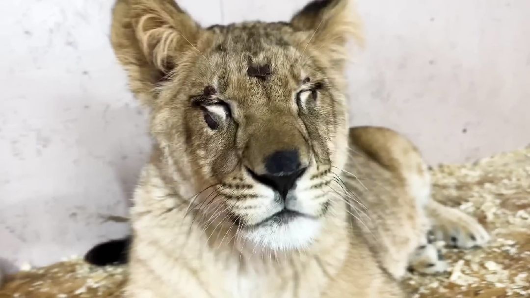 Клин, города