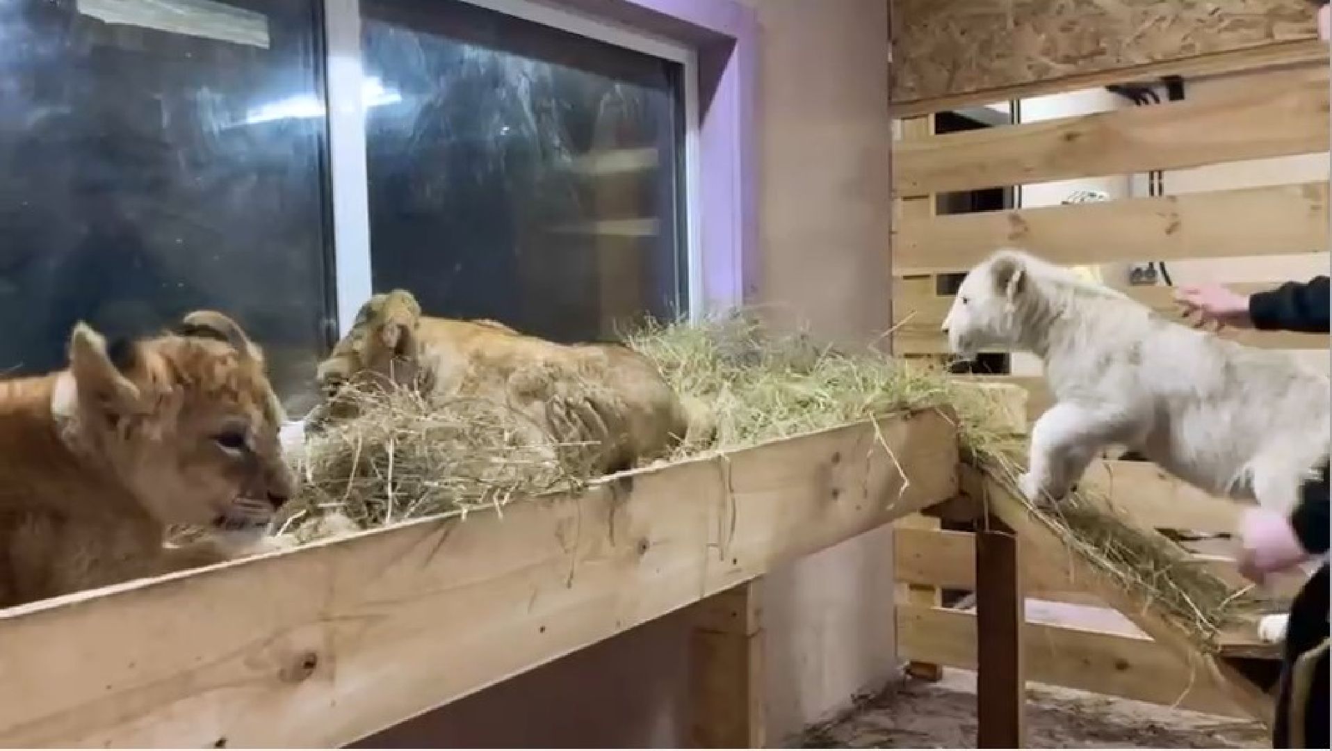 Клин, города