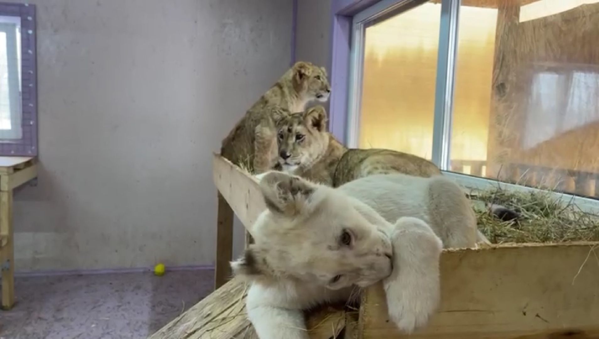 Клин, города