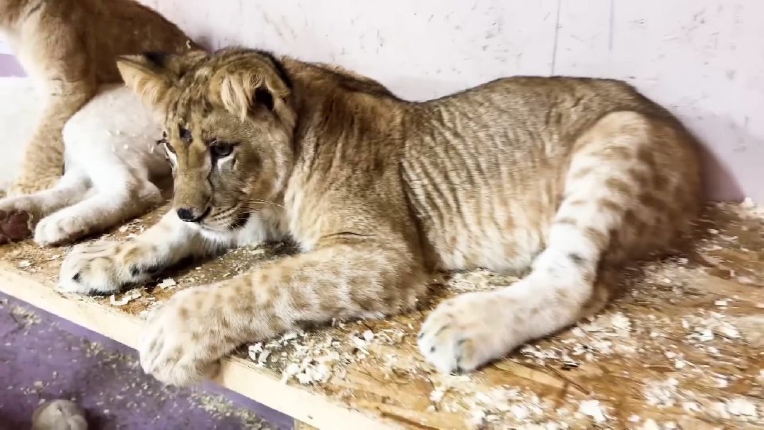 Клин, города