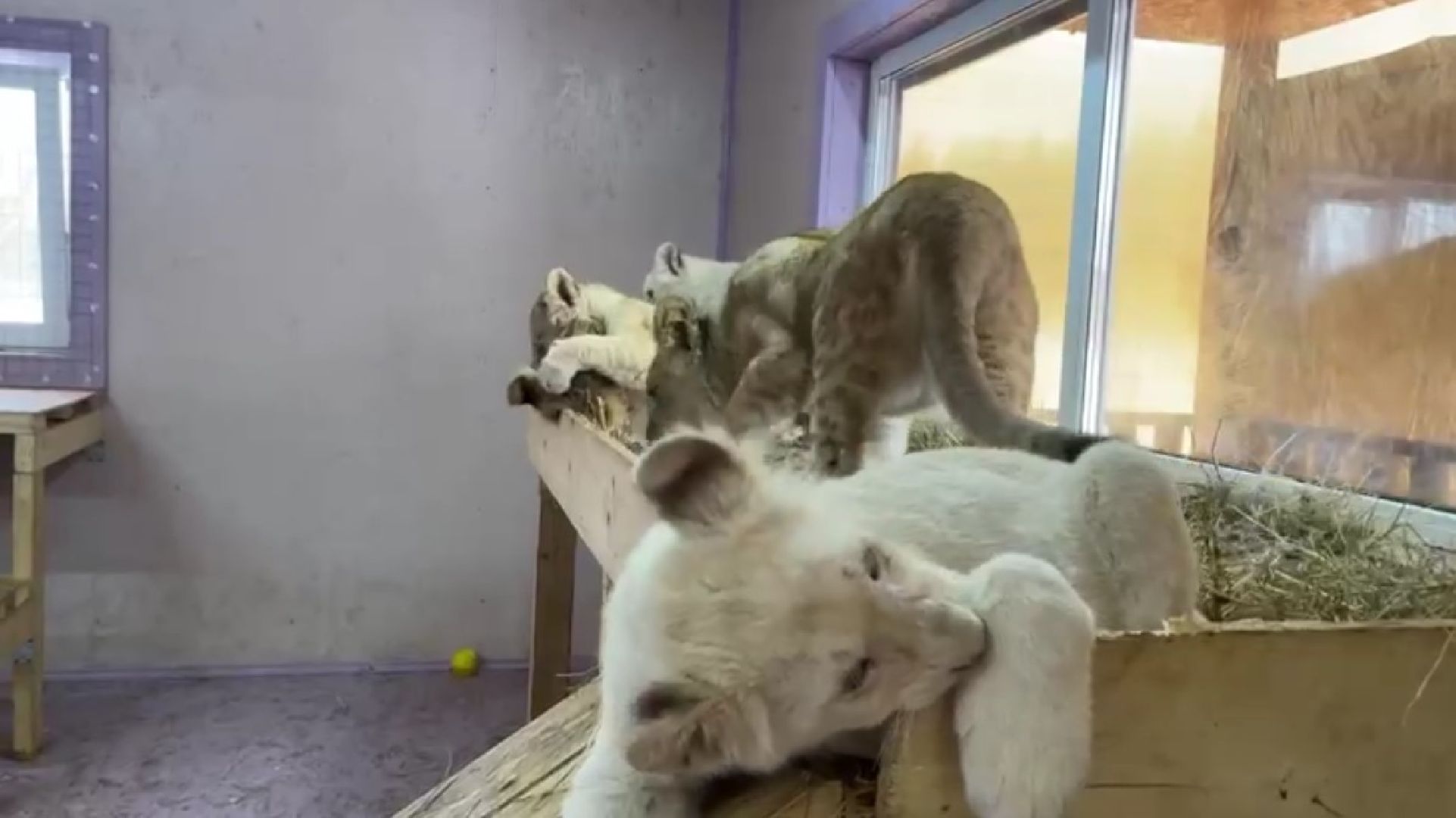 Клин, города