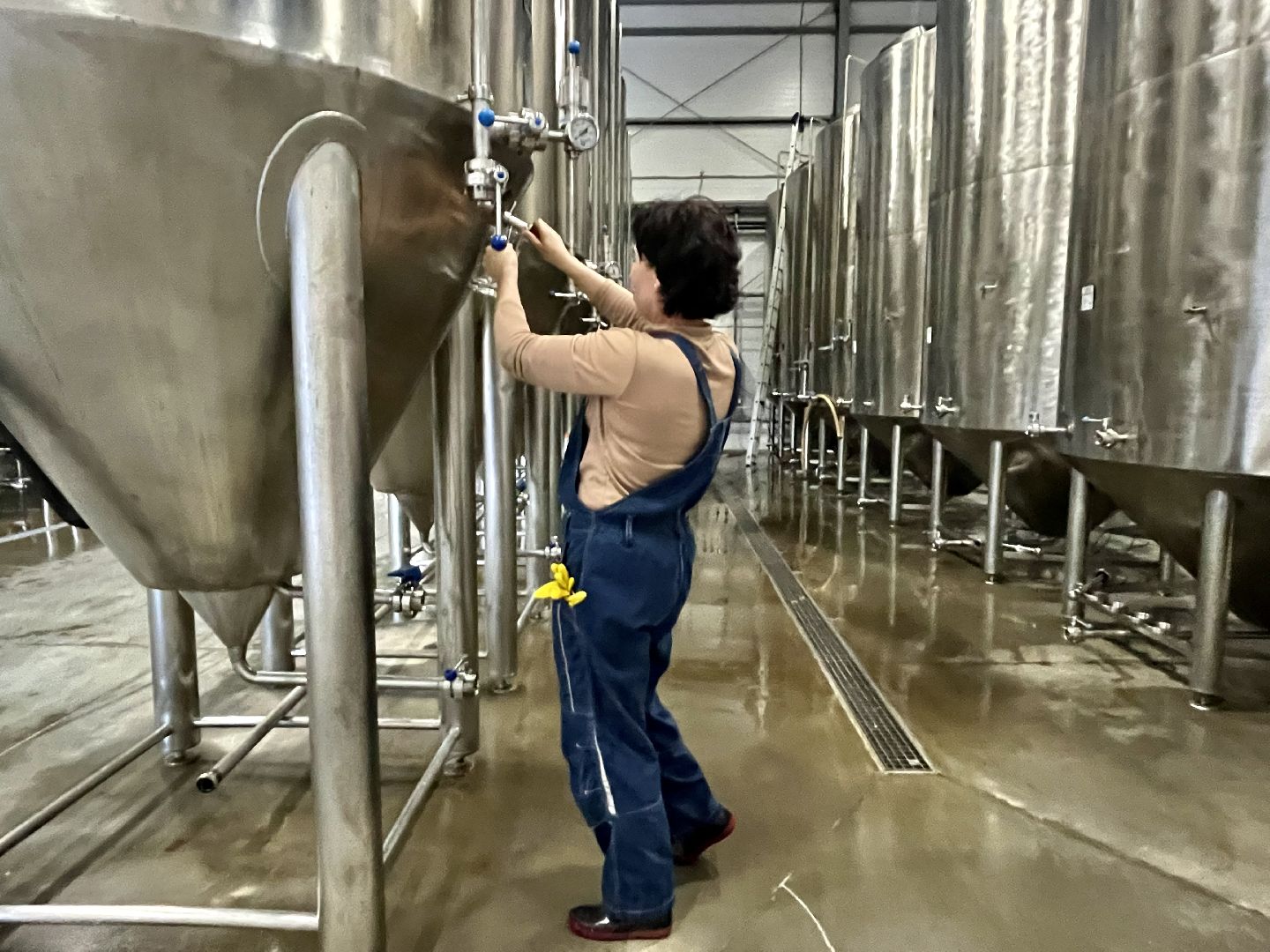 Наро-Фоминск, сидр, отравление, пищевая безопасность, Росалкогольрегулирование