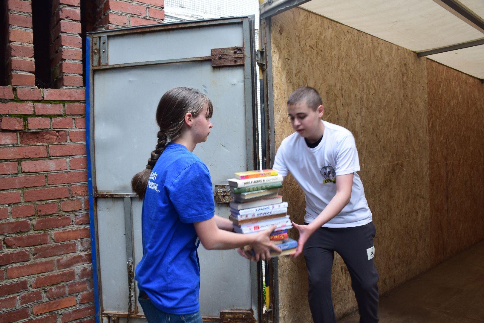 Павловский Посад, городской округ Павловский Посад, животные, помощь, экология