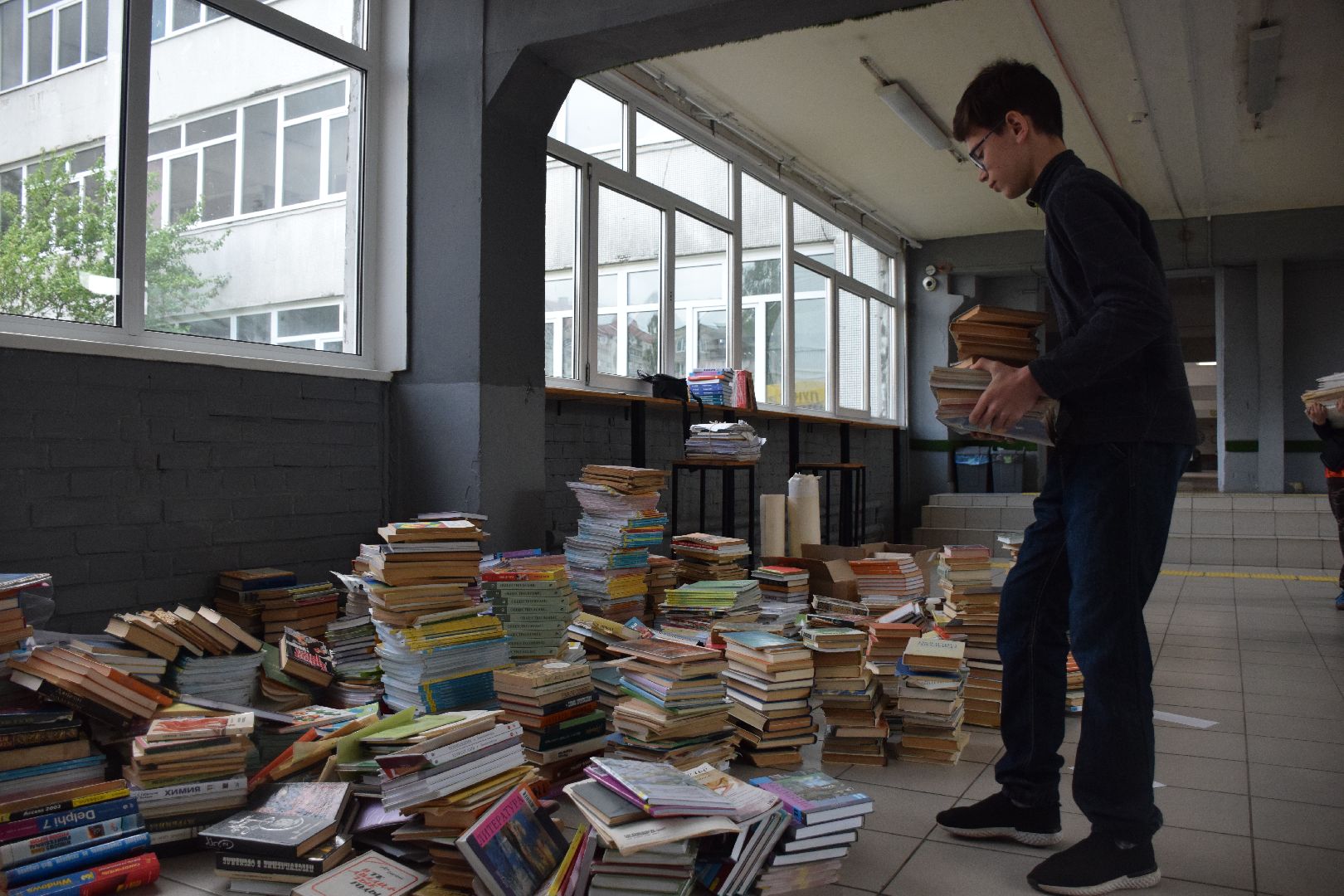 Павловский Посад, городской округ Павловский Посад, животные, помощь, экология