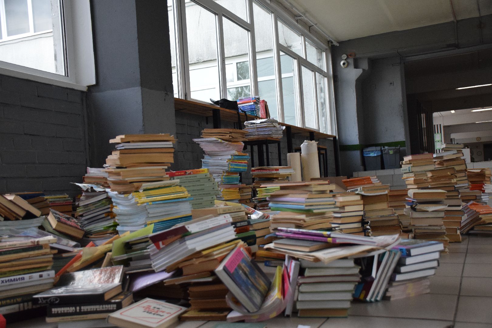 Павловский Посад, городской округ Павловский Посад, животные, помощь, экология