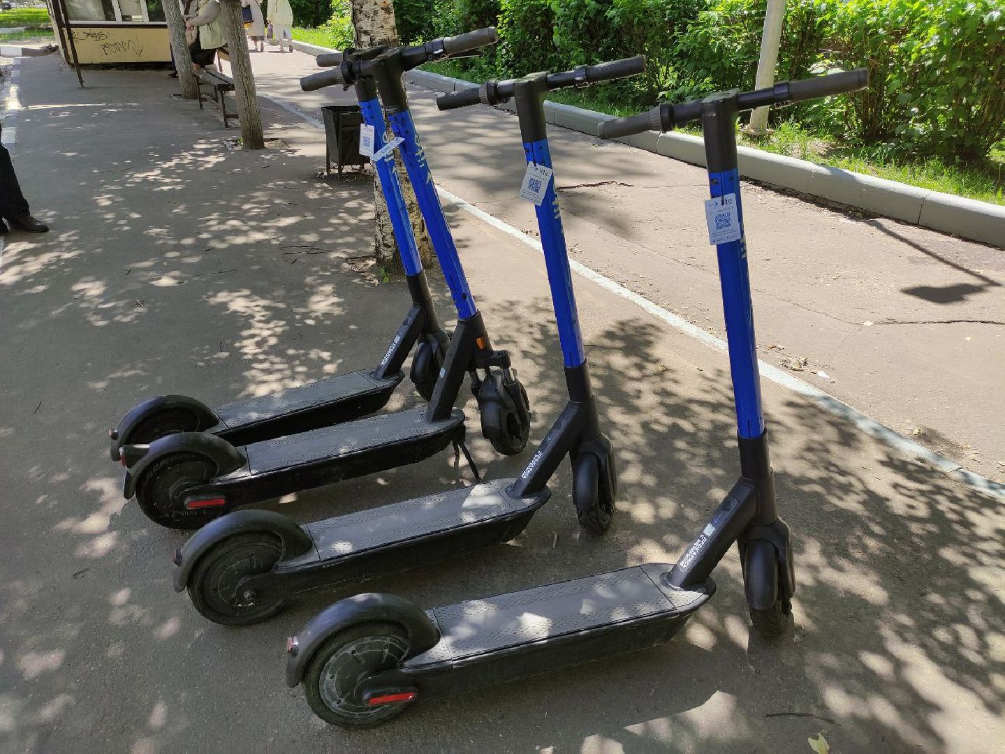 лыткарино, транспорт, самокаты, прокат,