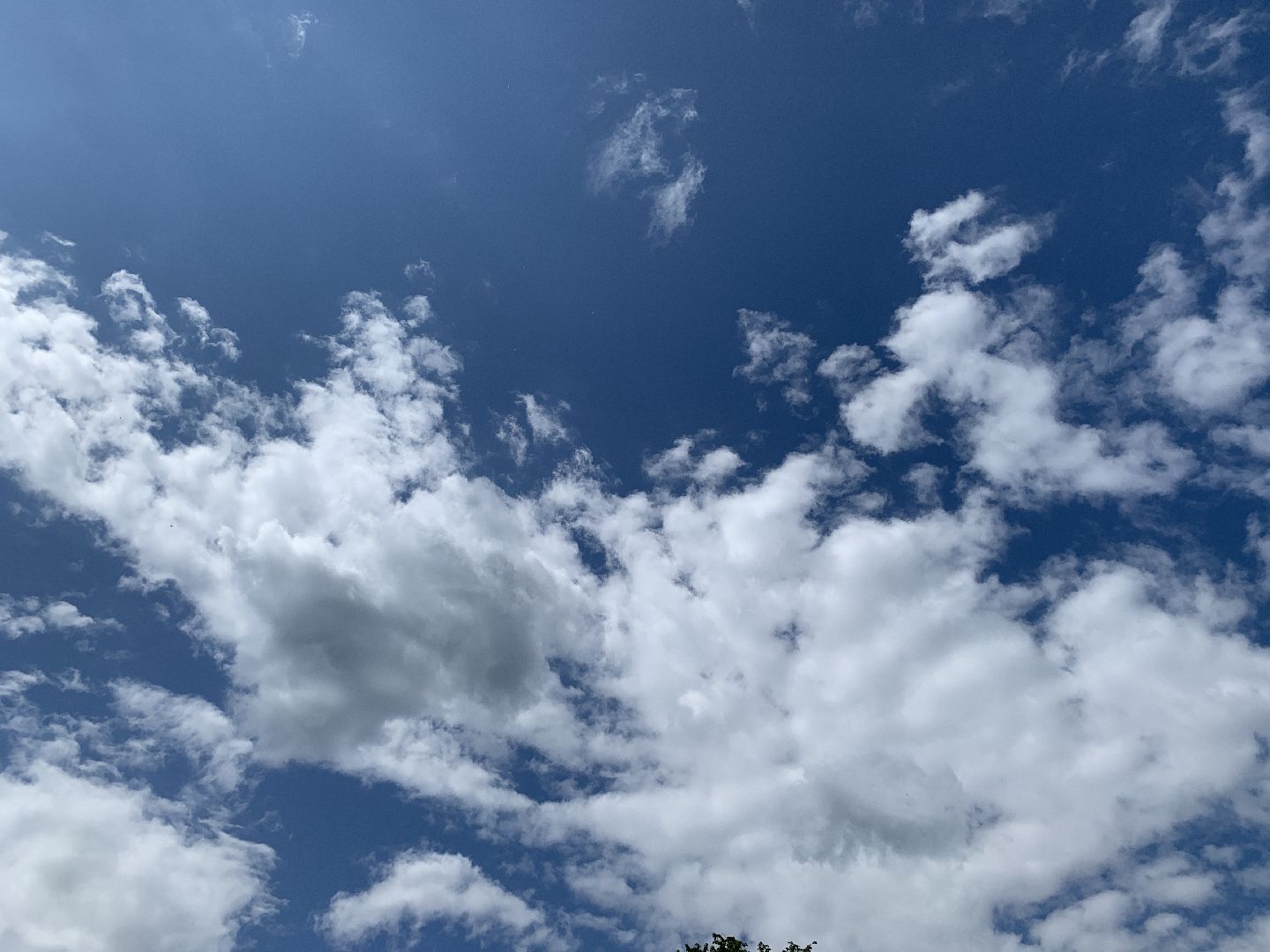 Балашиха, Подмосковье, метеорология, Росгидромет, метеостанция