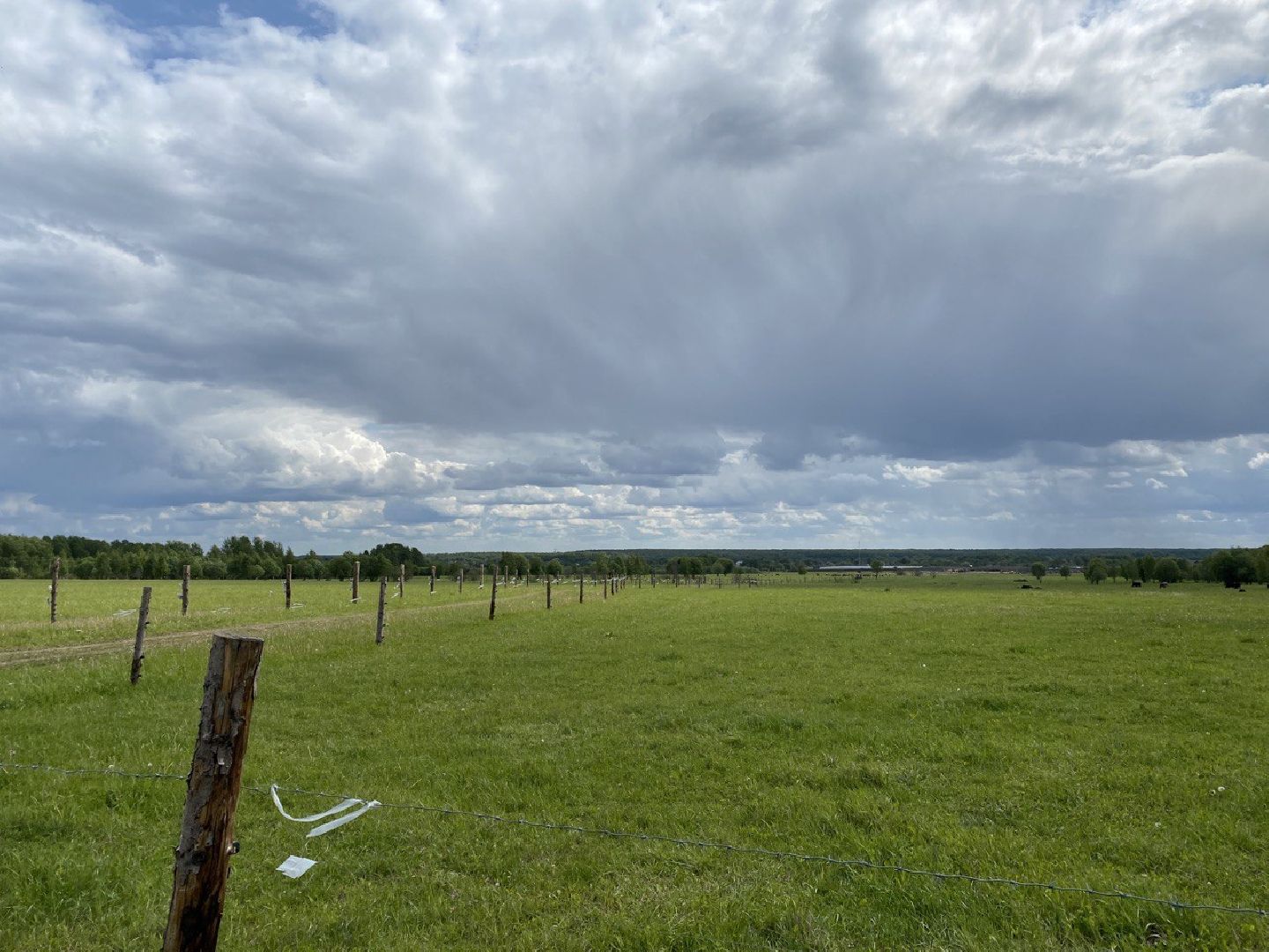 Чехов, экономика, ферма, грант, доильный робот, коровы