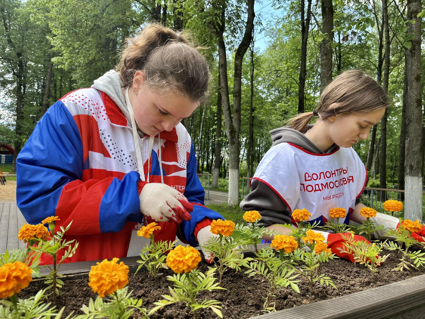 Наро-Фоминск, Центральный парк, Общественный огород, КСК Нара, Наро-Фоминский городской округ