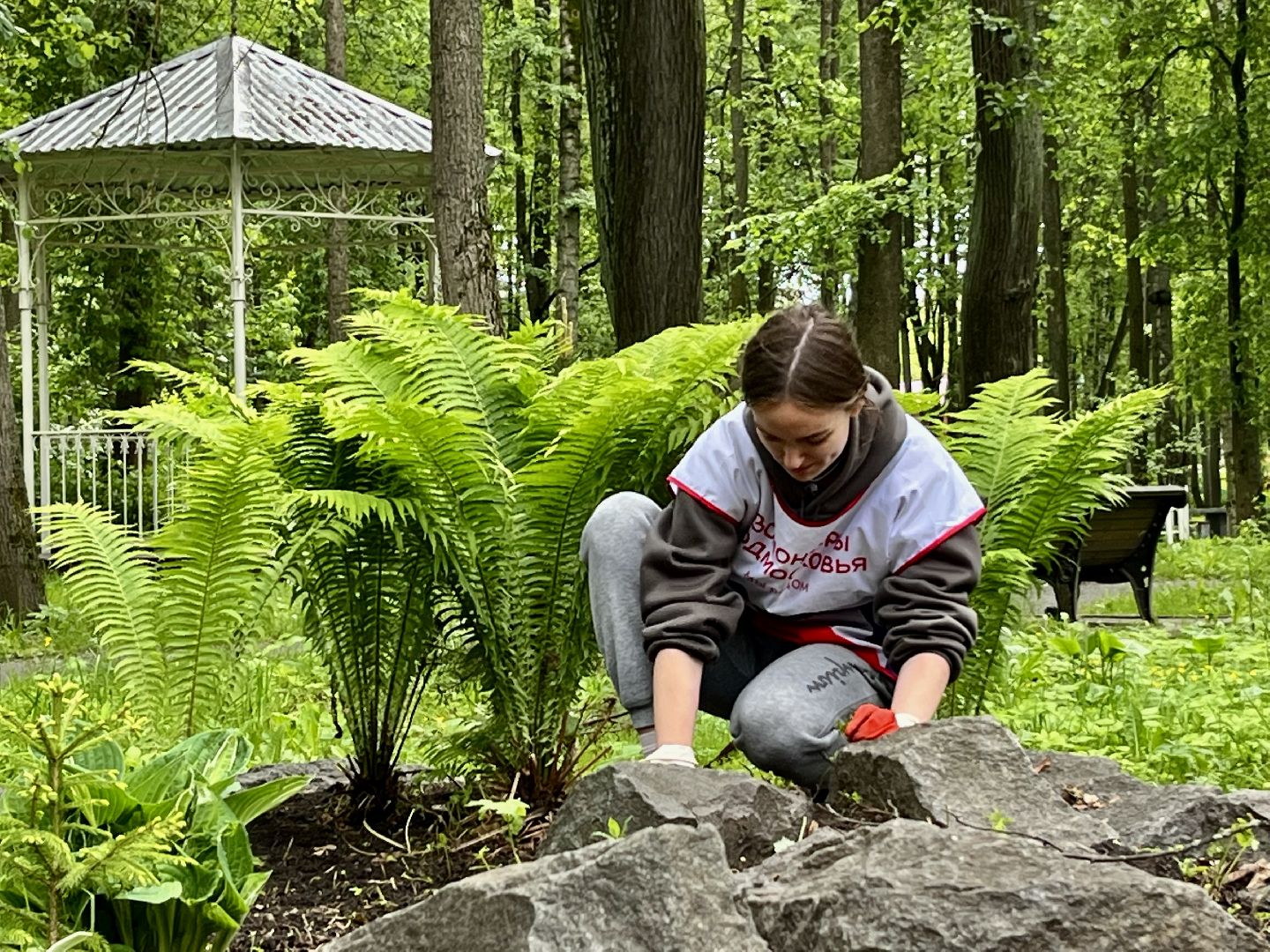 Наро-Фоминск, Центральный парк, Общественный огород, КСК Нара, Наро-Фоминский городской округ