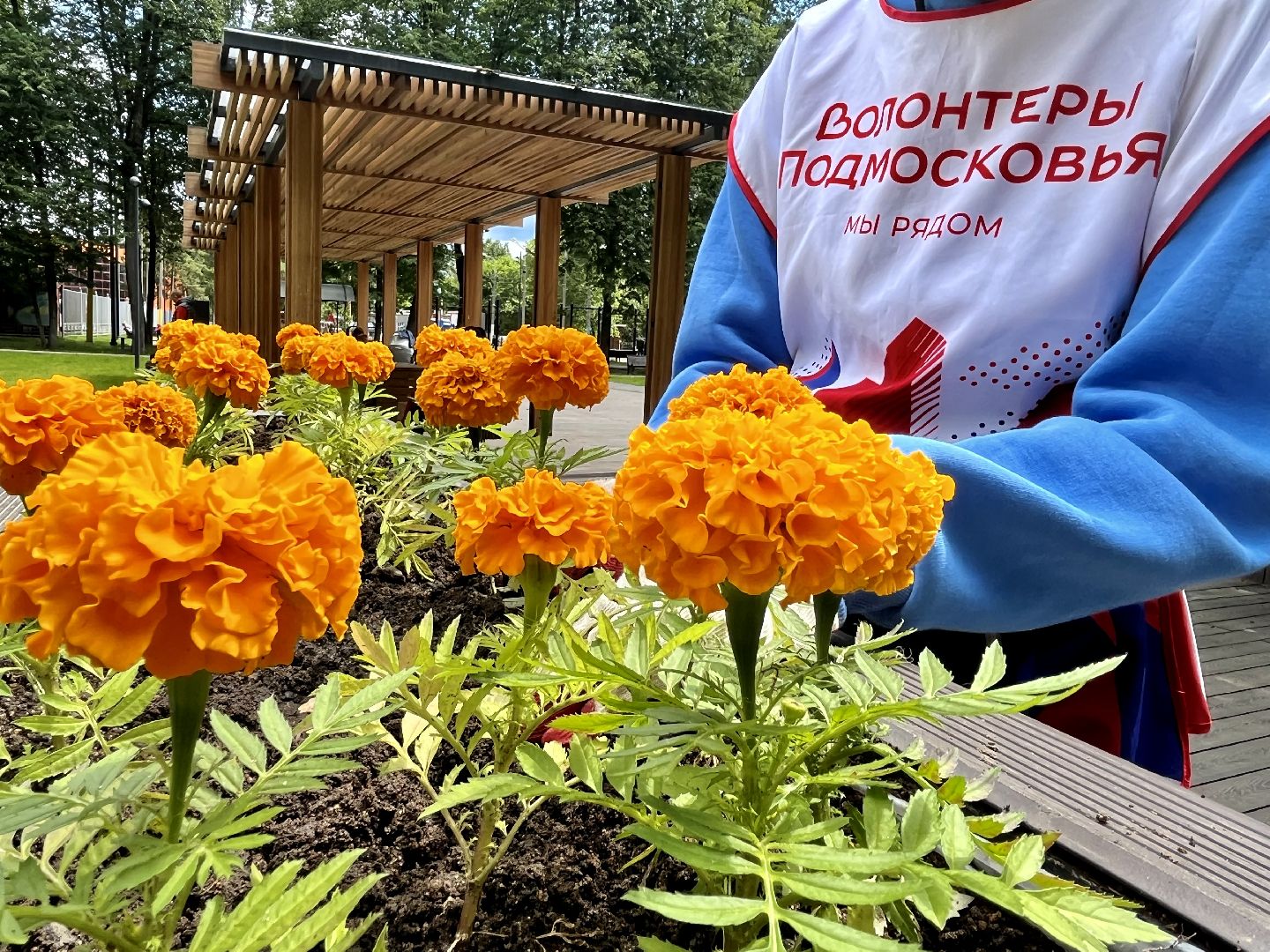 Наро-Фоминск, Центральный парк, Общественный огород, КСК Нара, Наро-Фоминский городской округ