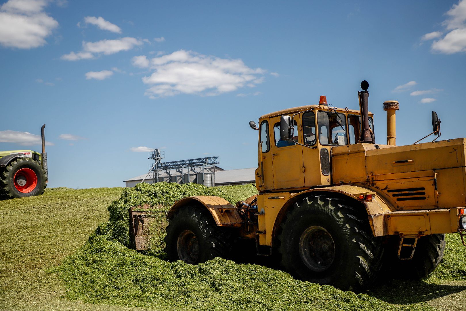 Племзавод Повадино, Домодедово