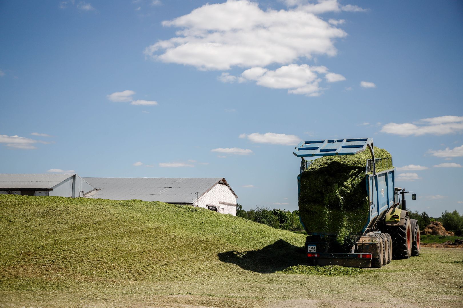 Племзавод Повадино, Домодедово