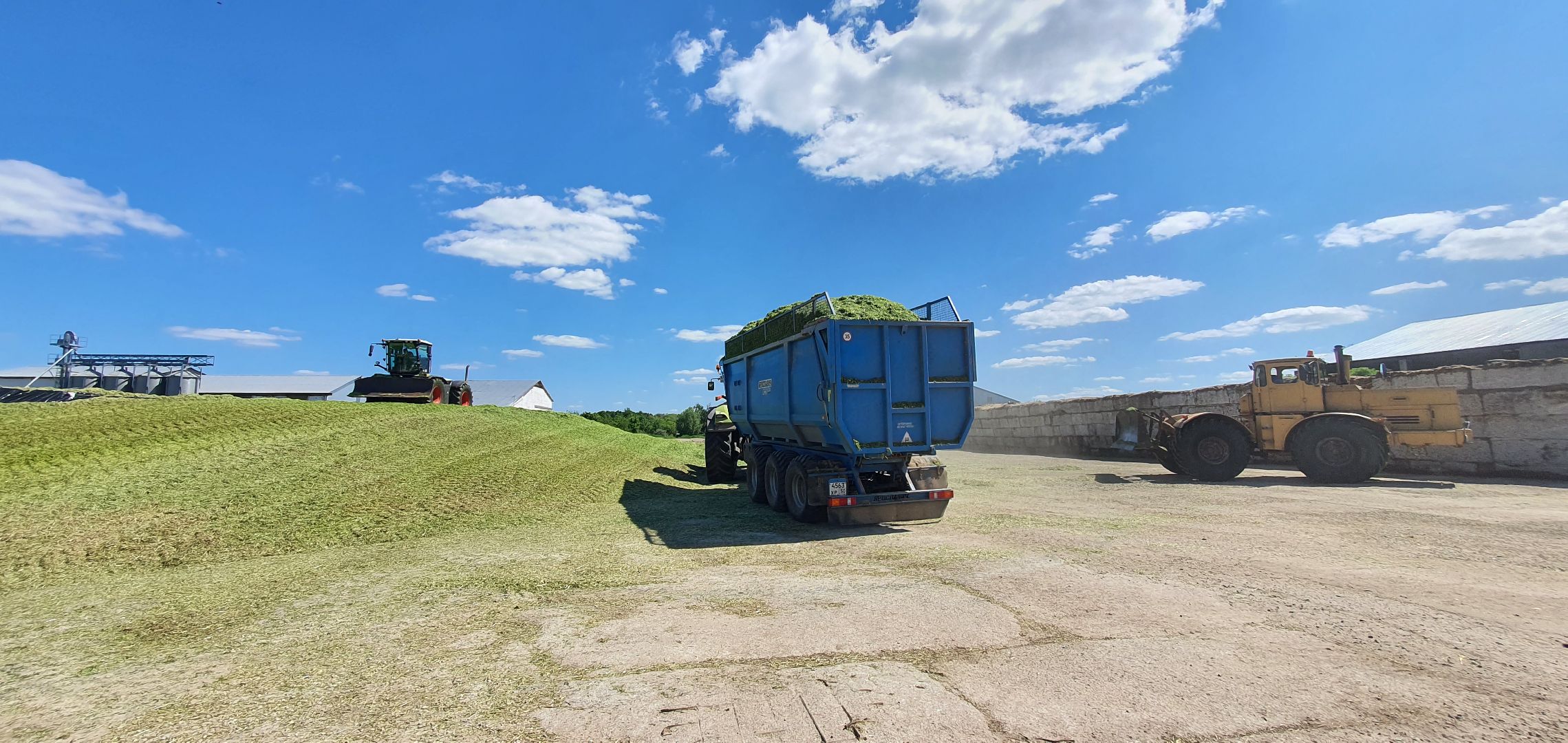 Племзавод Повадино, Домодедово