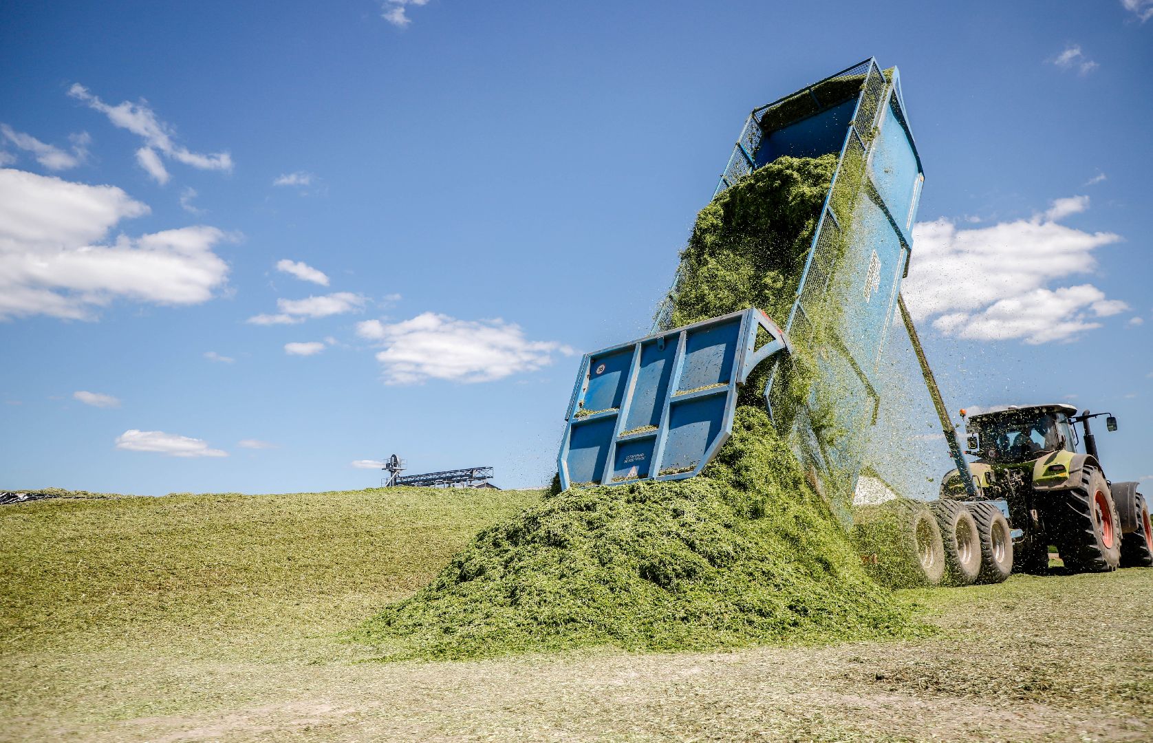 Племзавод Повадино, Домодедово