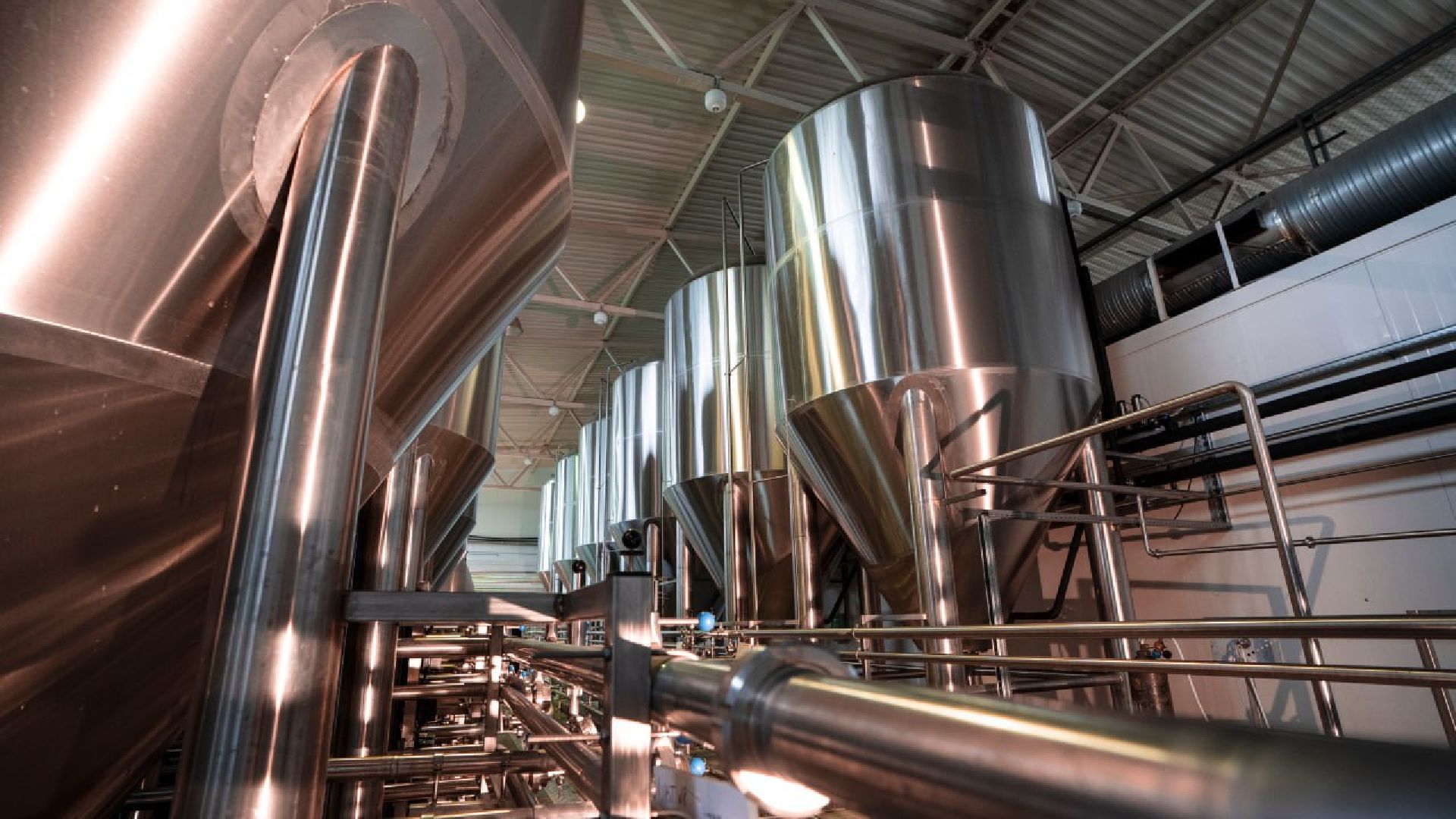 Домодедово, ЧП, отравление, служба качества, мистер сидр, напиток