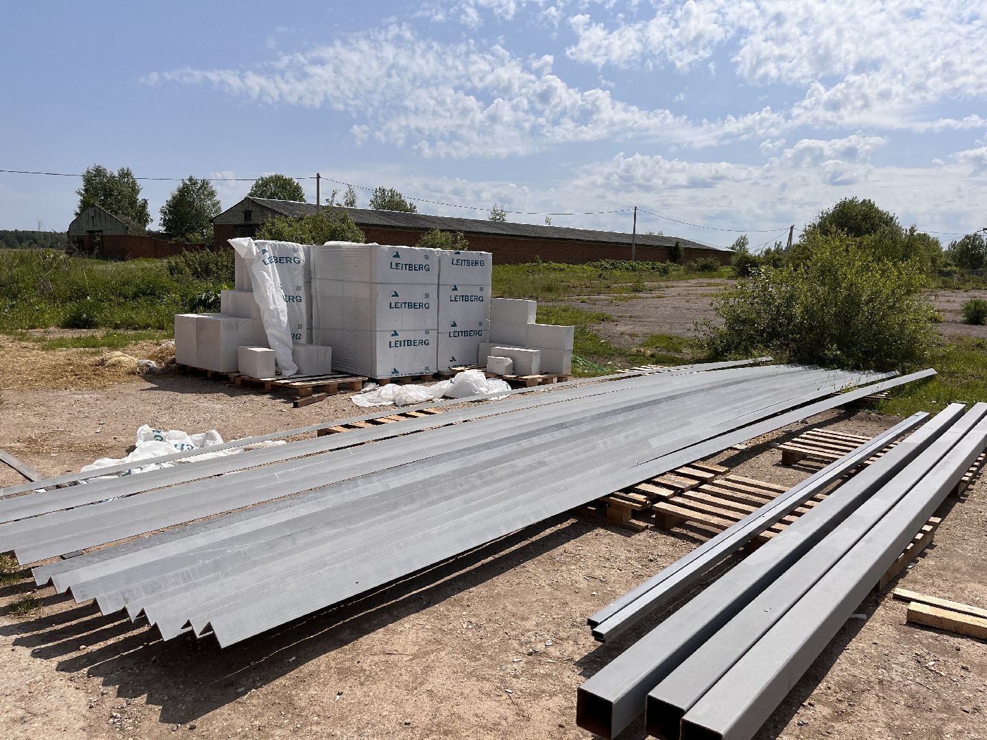 Шаховская, овощи, овощехранилище