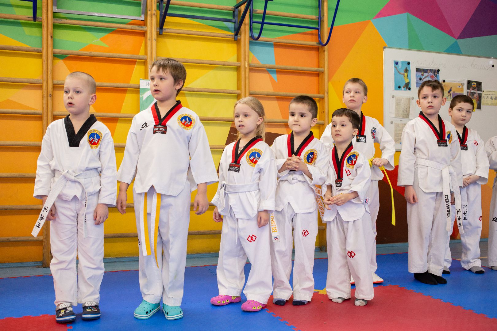 Балашиха, спорт, тхэквондо, тренировки