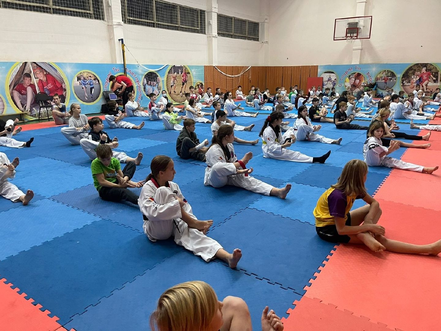 Балашиха, спорт, тхэквондо, тренировки