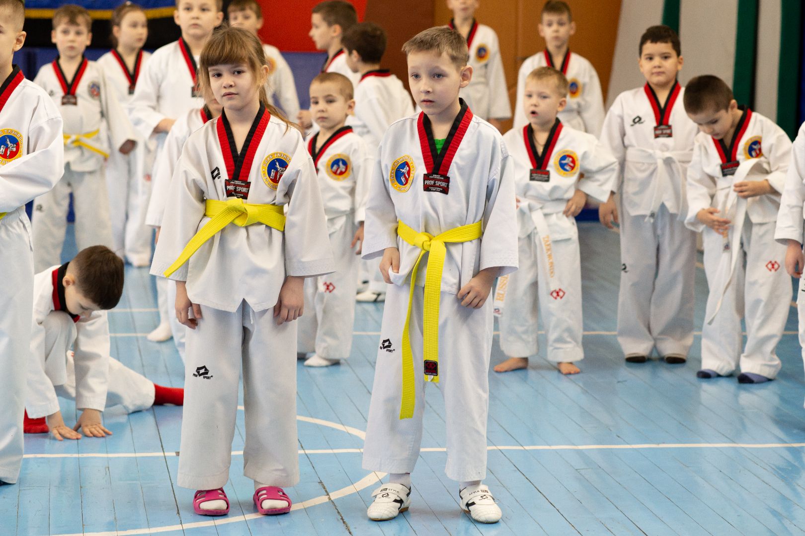 Балашиха, спорт, тхэквондо, тренировки