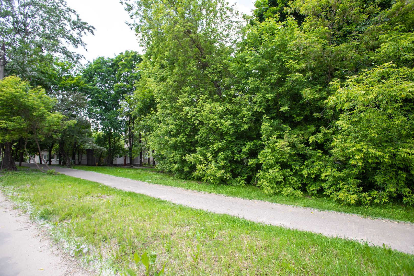 лыткарино, благоустройство, голосование,