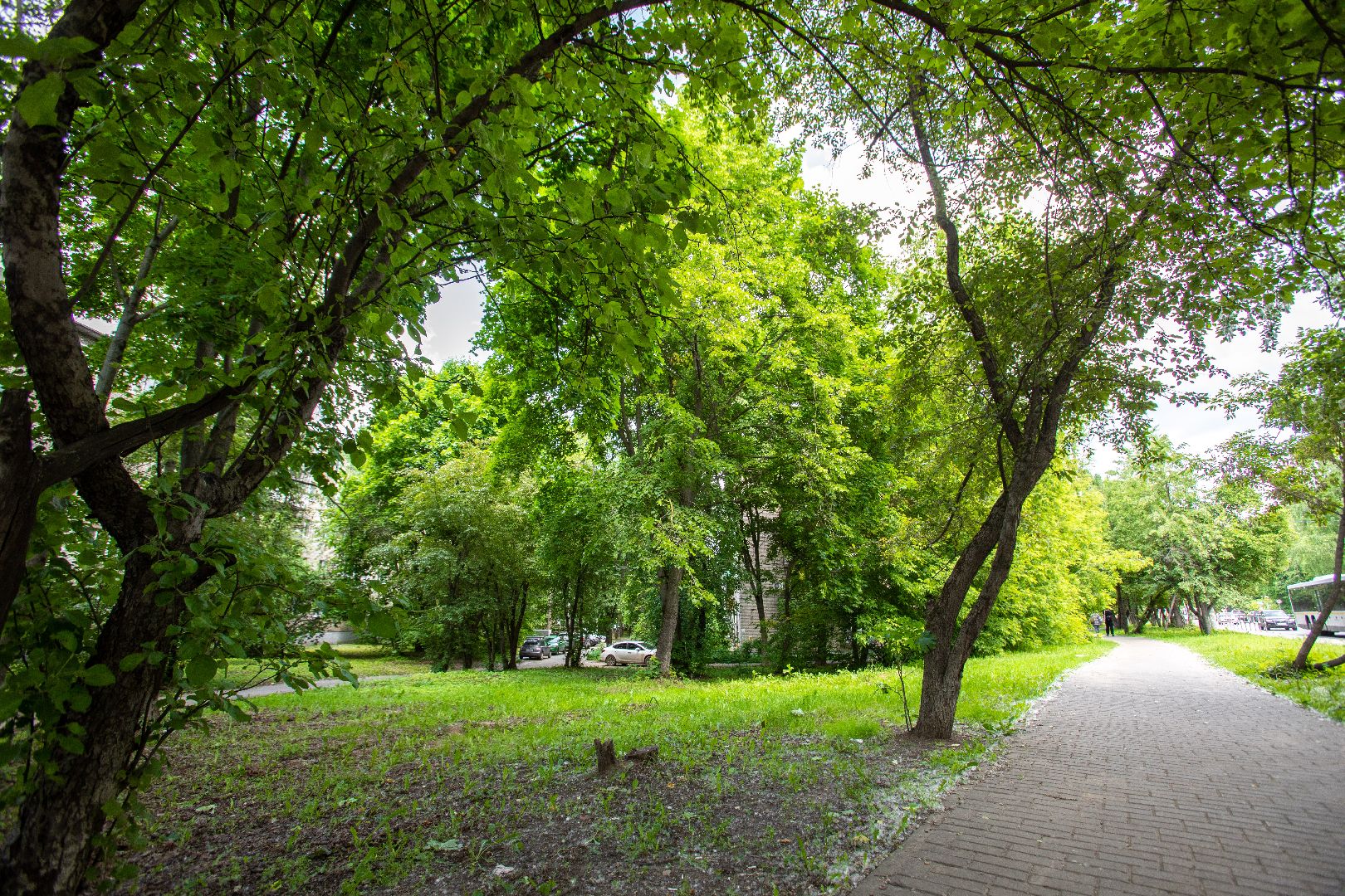 лыткарино, благоустройство, голосование,