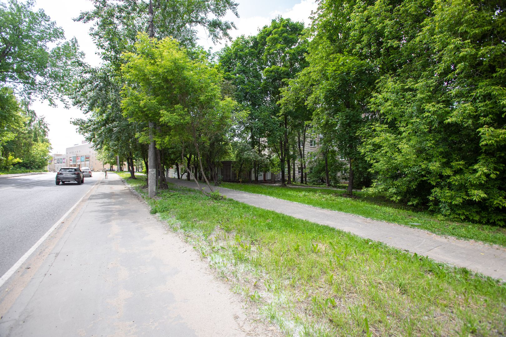 лыткарино, благоустройство, голосование,