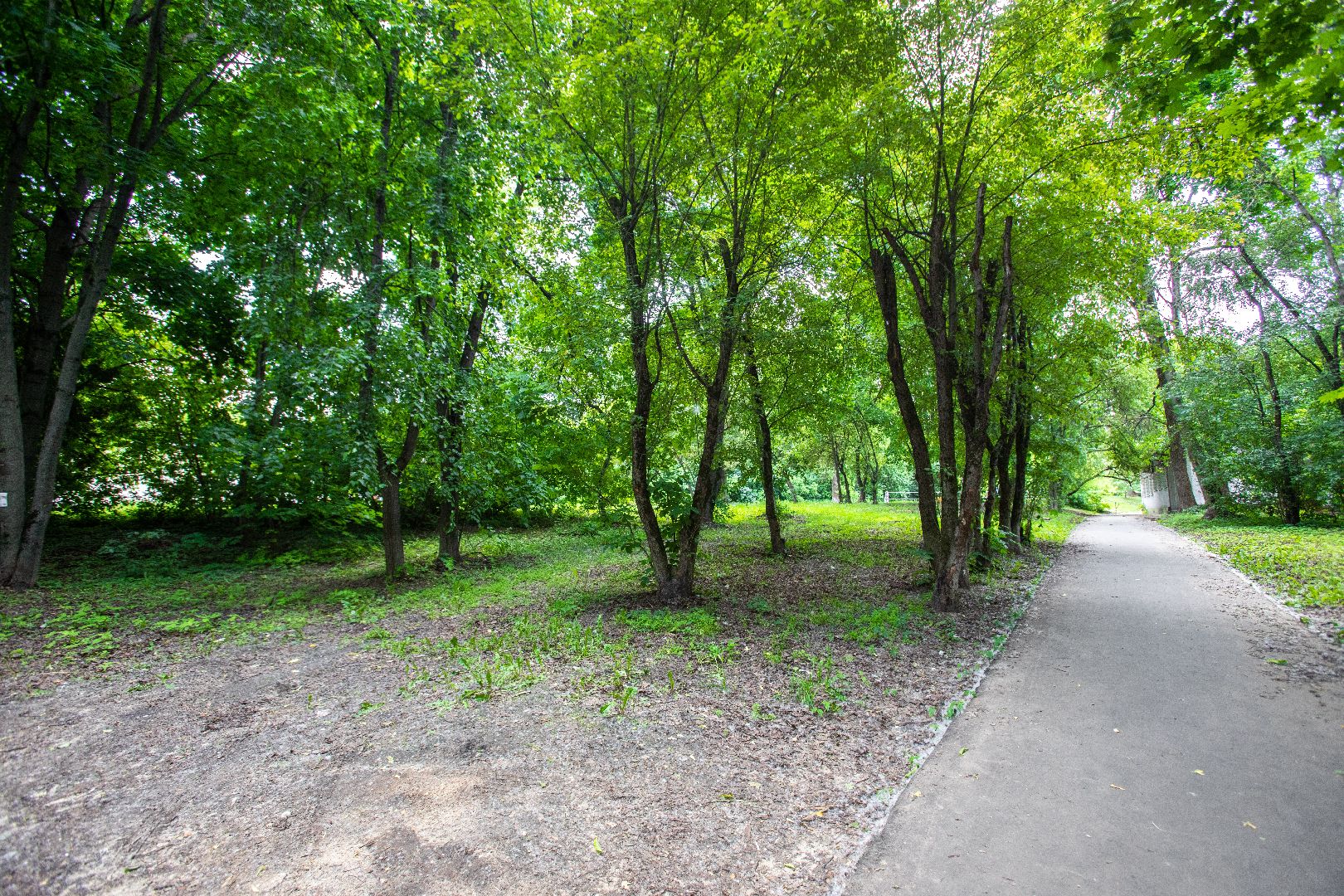 лыткарино, благоустройство, голосование,