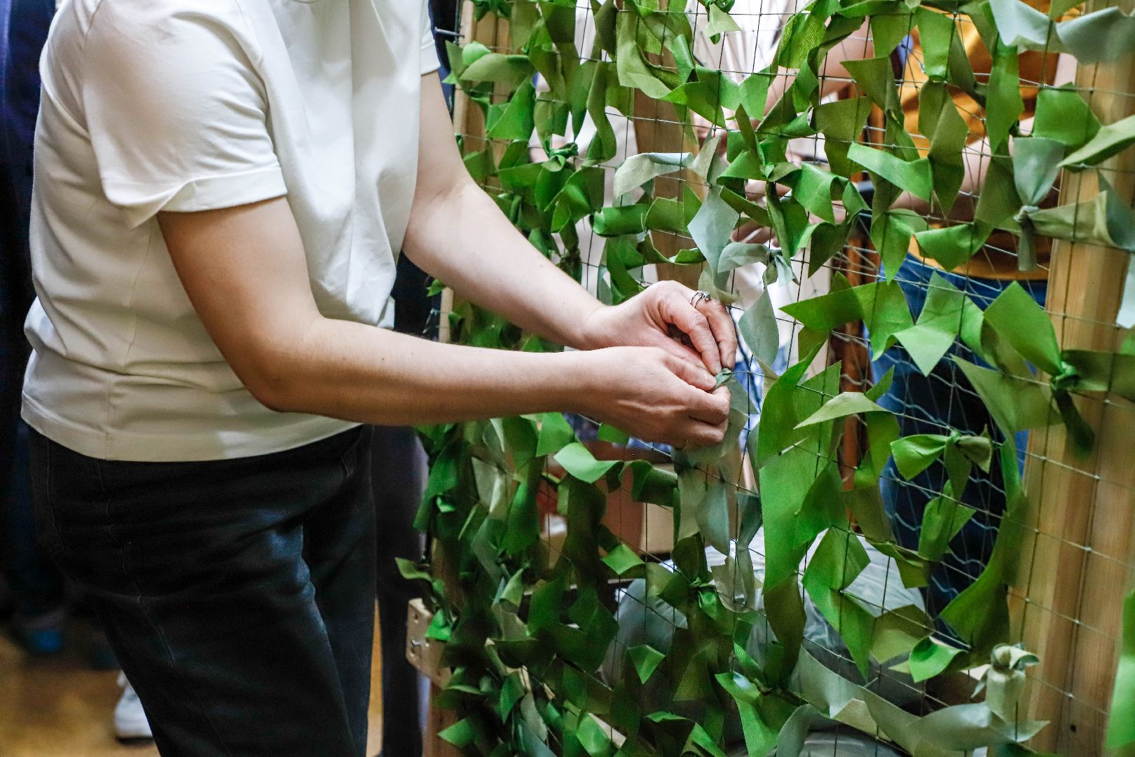 Вячеслав Фетисов, волонтёры, Домодедово