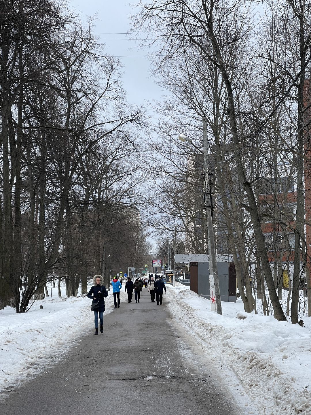Одинцово, Благоустройство, градостроительство, сквер, пешеходная улица, велодорожки