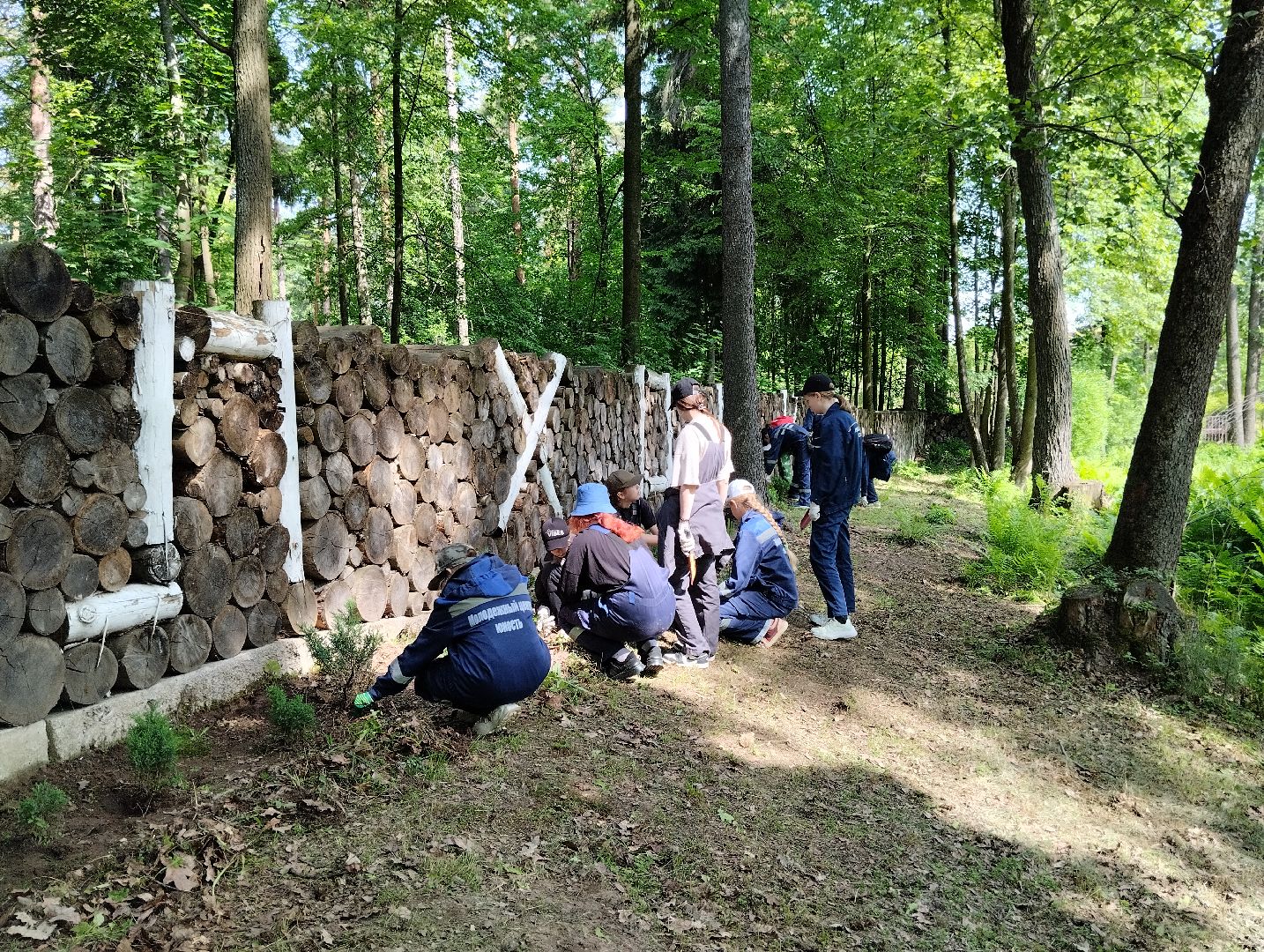 Трудовые отряды, благоустройство, парк