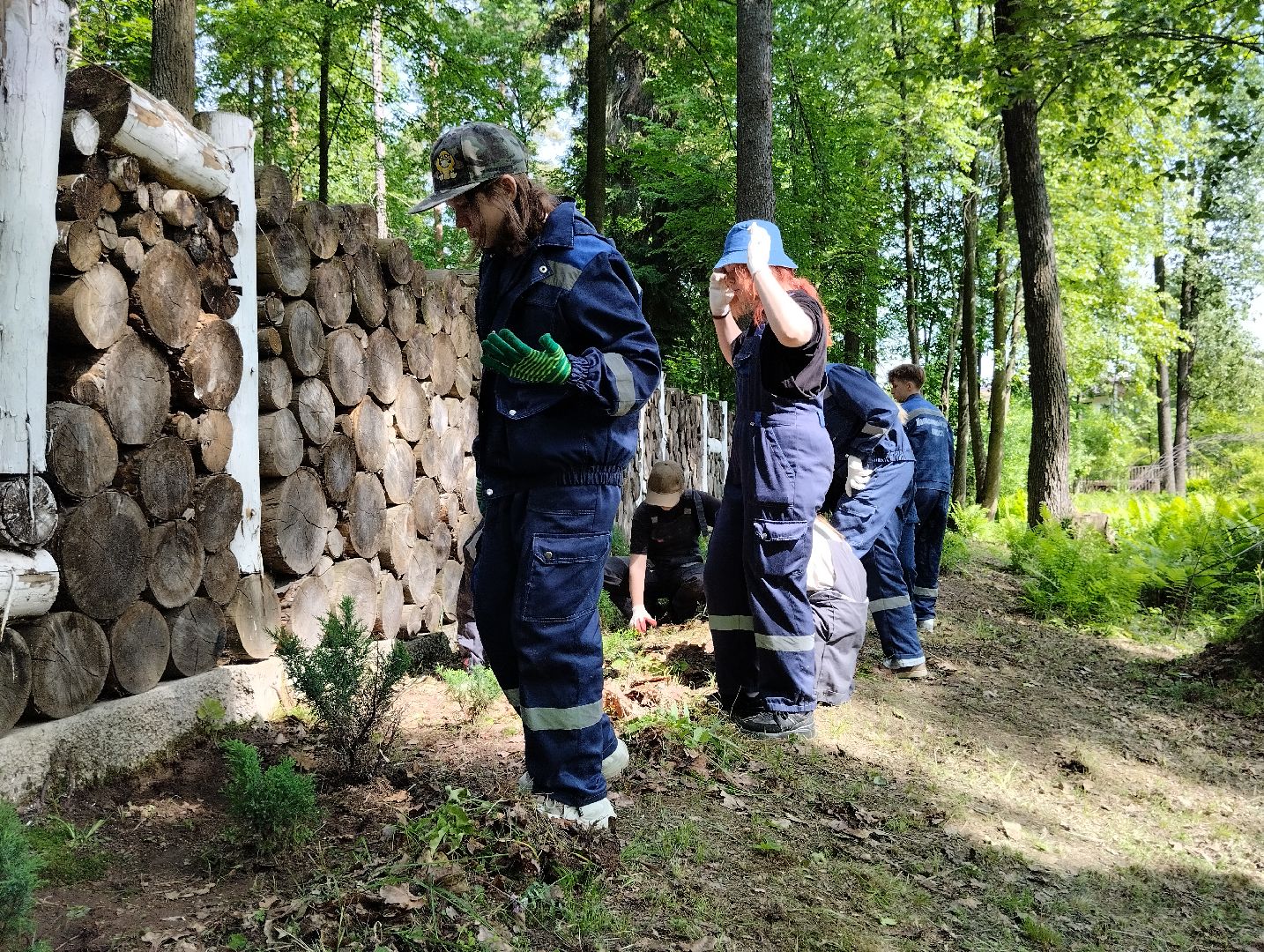 Трудовые отряды, благоустройство, парк