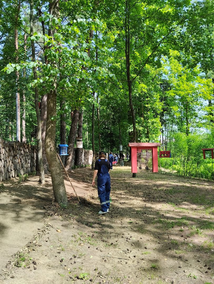 Трудовые отряды, благоустройство, парк