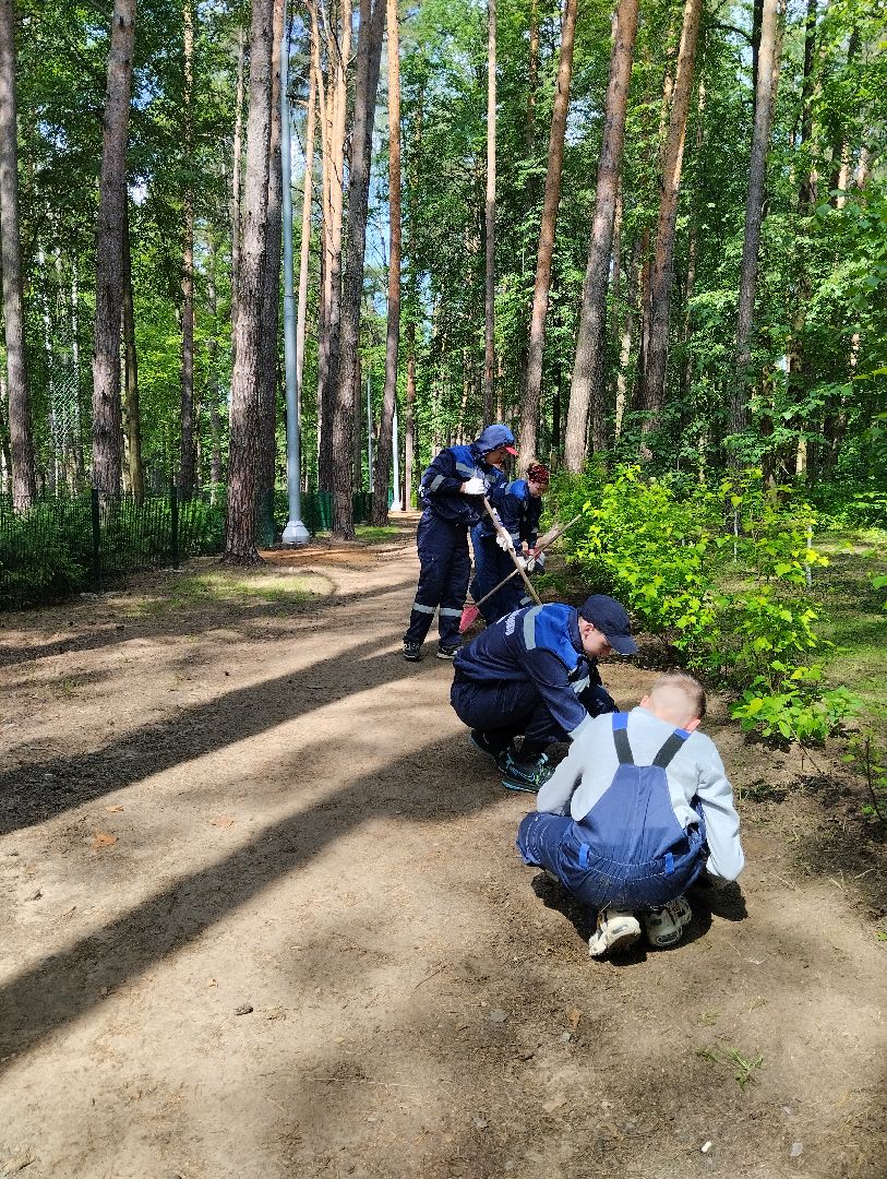Трудовые отряды, благоустройство, парк