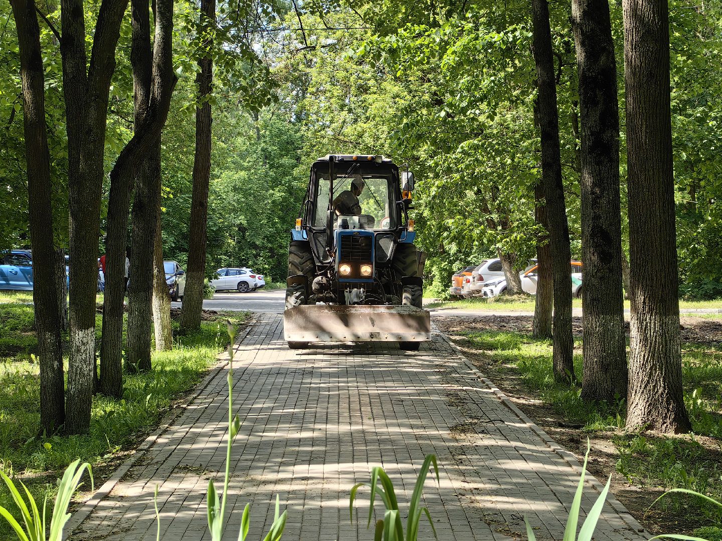 Аллея, уборка, техника, щётка