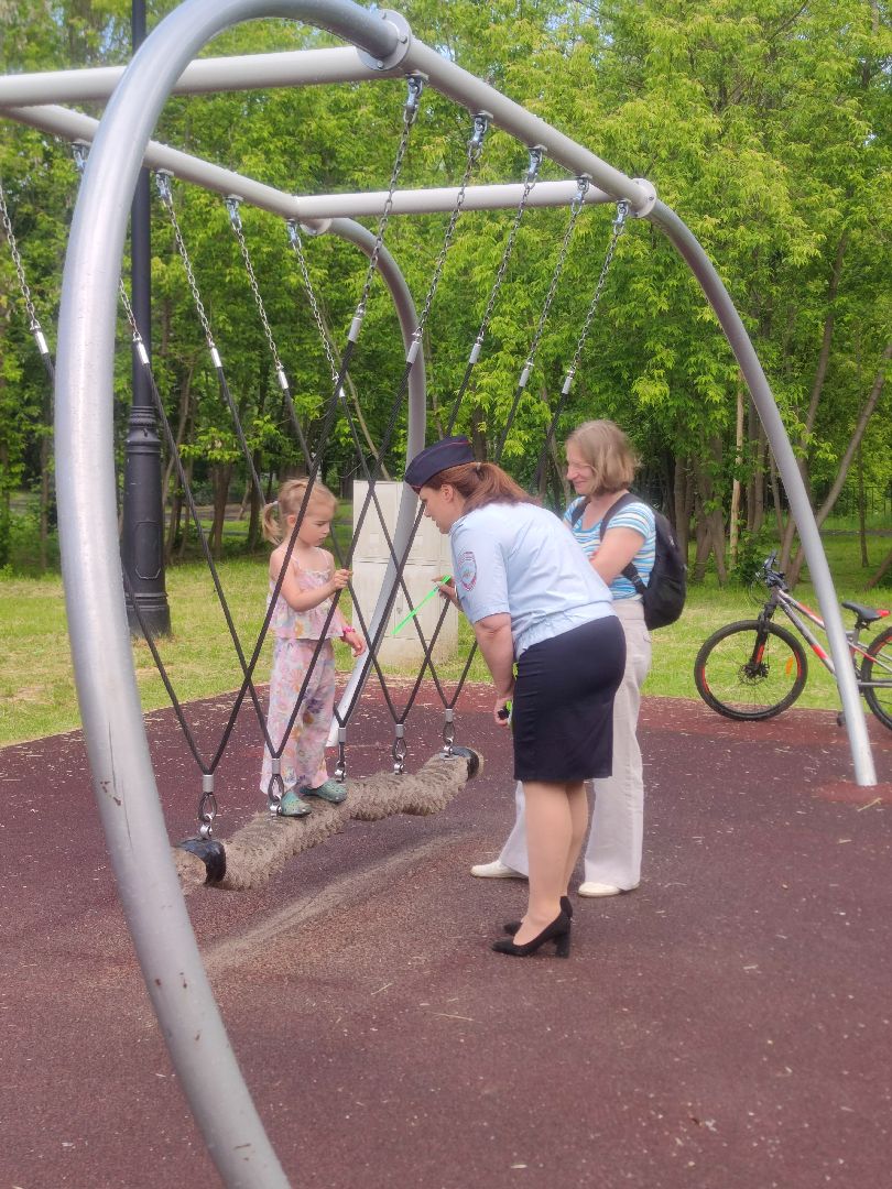 Акция, ГИБДД, Дубна