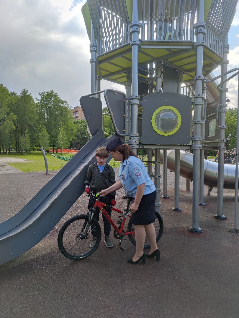 Акция, ГИБДД, Дубна