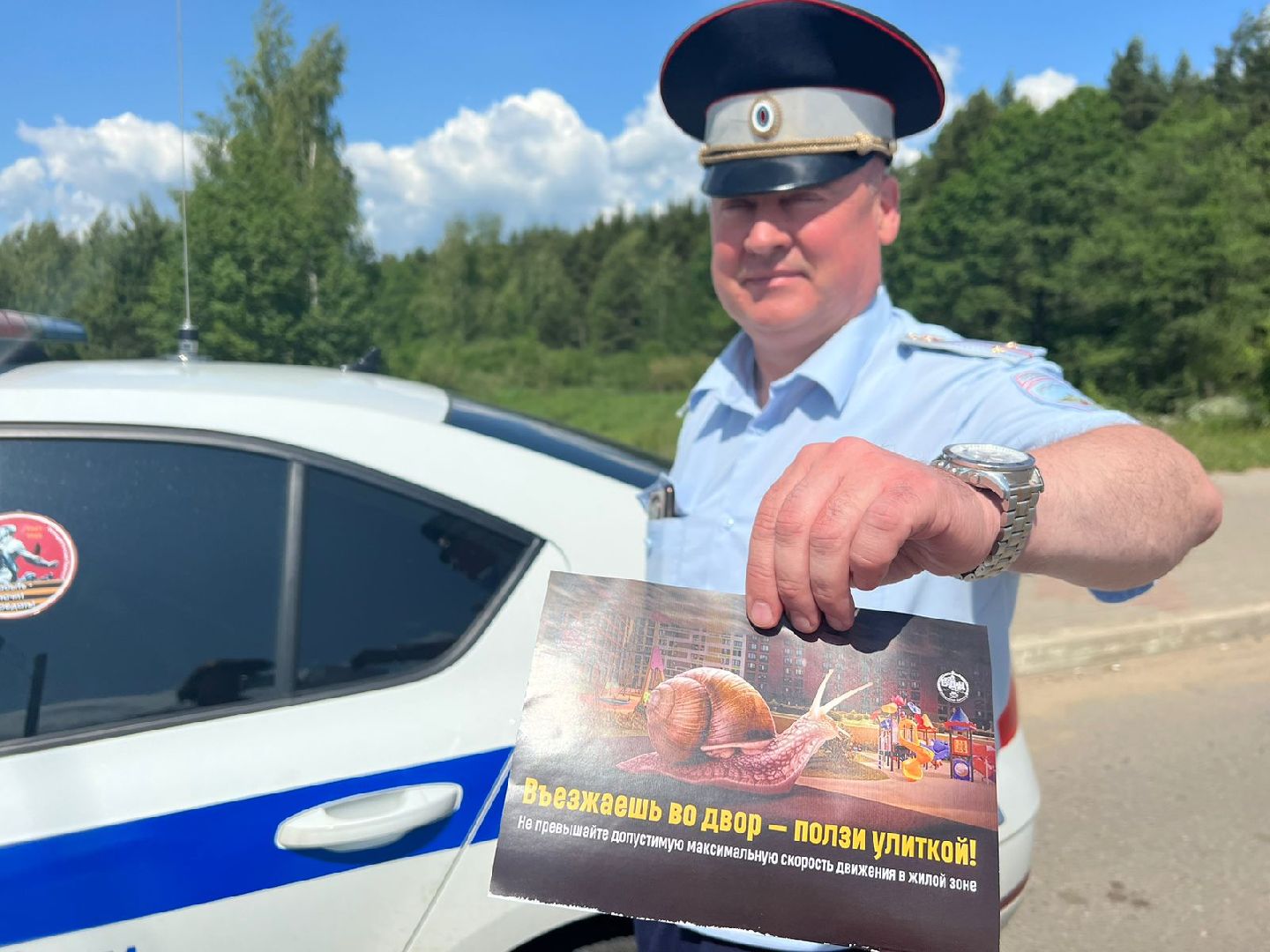 Акция, ГИБДД, Дубна