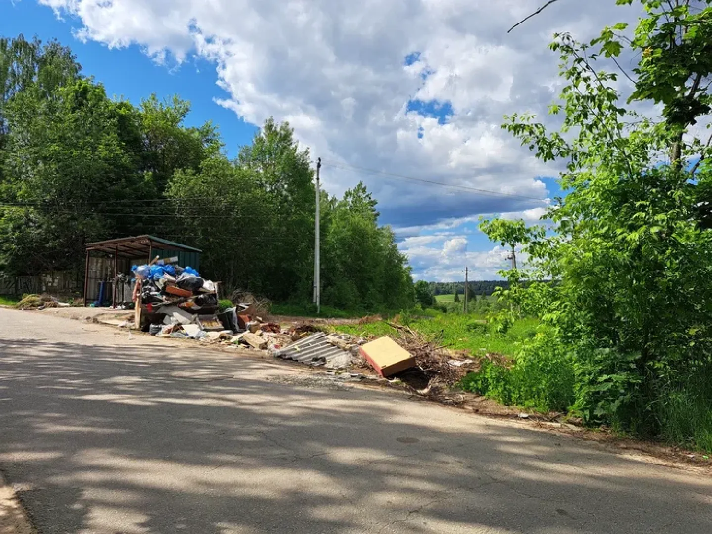 Руза, строительные отходы, мусор, несанкционированный сброс мусора, экология