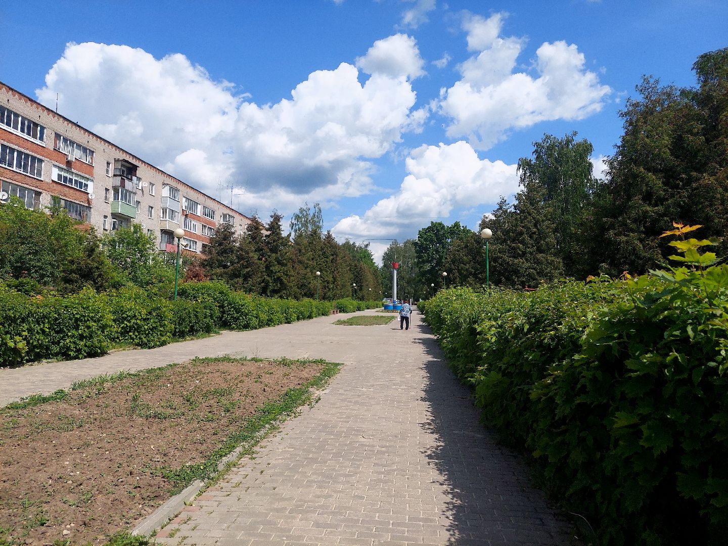 благоустройство, всероссийское голосование