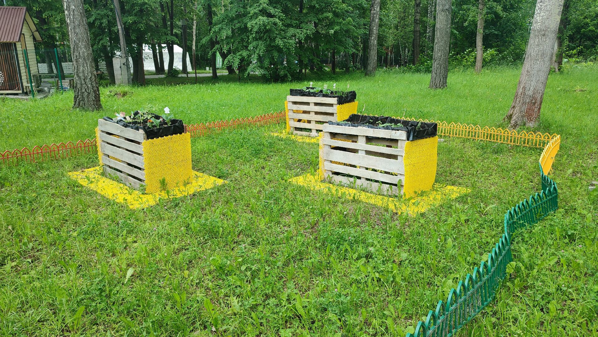 Кашира, парк, общественный огород, цветы, овощи, зелень