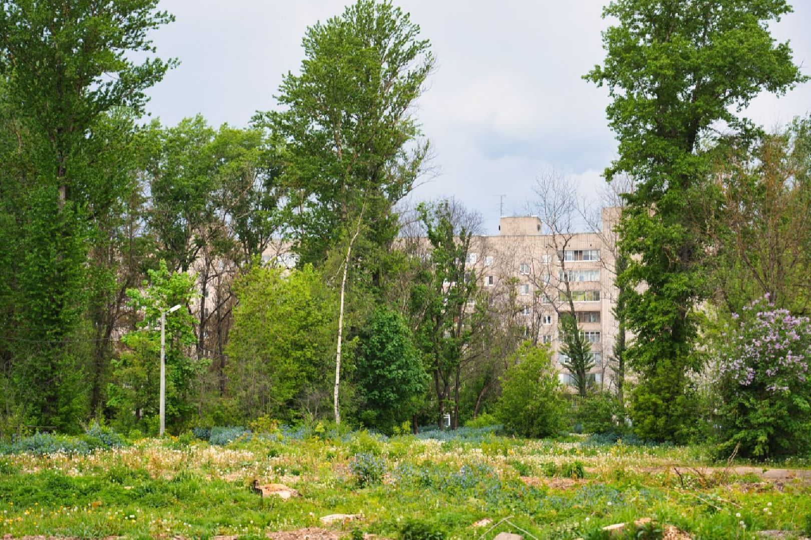 Сергиево-Посадский городской округ, Сергиев Посад, Благоустройство, Выбор жителей, Всероссийское голосование, Сквер