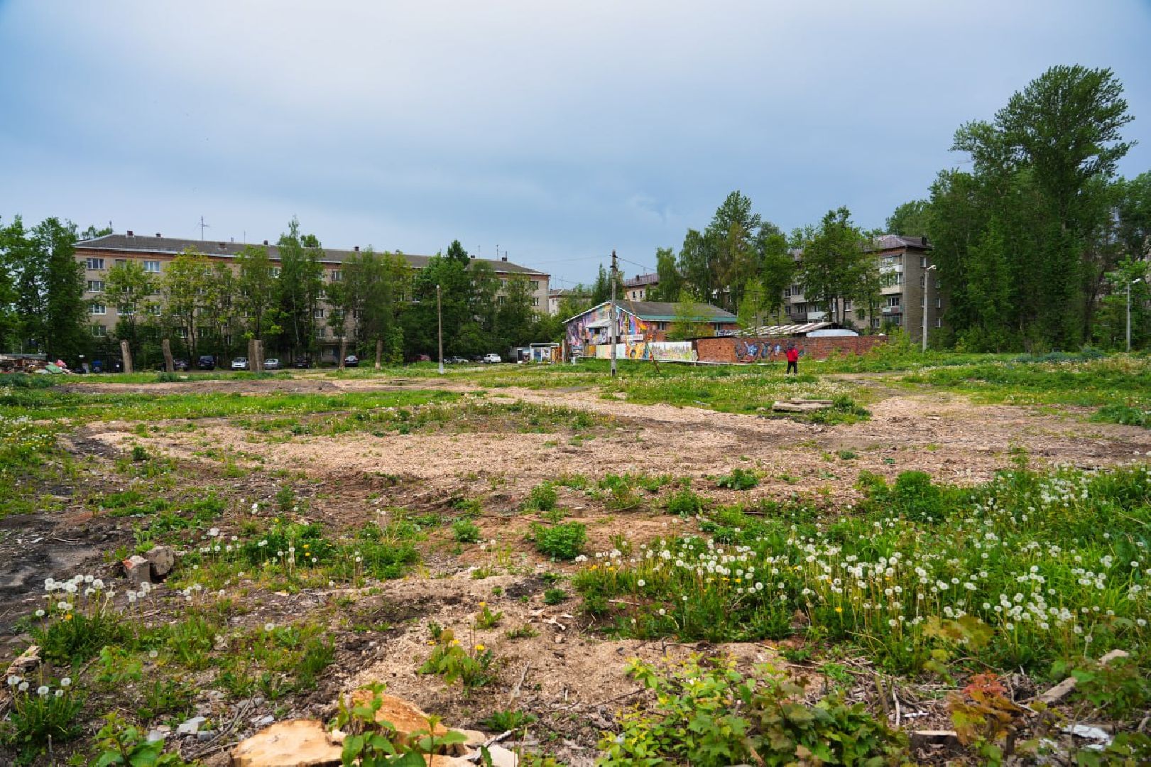 Сергиево-Посадский городской округ, Сергиев Посад, Благоустройство, Выбор жителей, Всероссийское голосование, Сквер