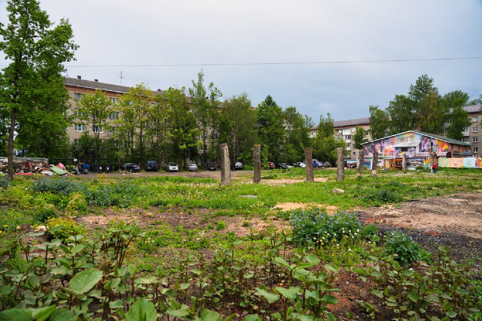 Сергиево-Посадский городской округ, Сергиев Посад, Благоустройство, Выбор жителей, Всероссийское голосование, Сквер