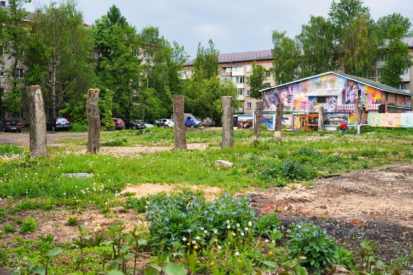 Сергиево-Посадский городской округ, Сергиев Посад, Благоустройство, Выбор жителей, Всероссийское голосование, Сквер
